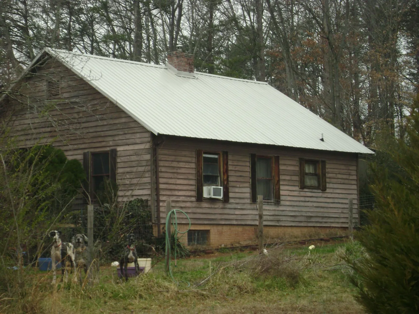 White metal roof on an old wood sided farmhouse, from a Asphalt Shingle Roof Repair job in Dewey